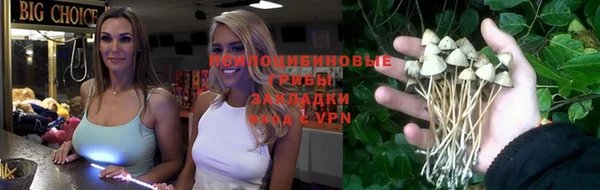 твердый Щёлкино