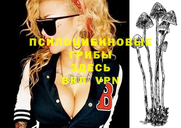 амфетамин Щигры