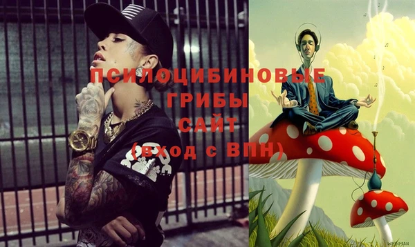 твердый Щёлкино