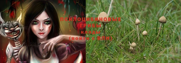 амфетамин Щигры